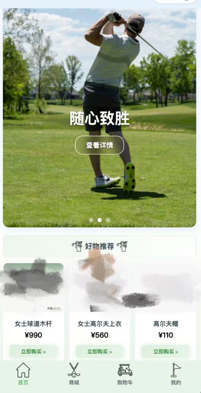 Golf E-commerce Platform Screenshot 2